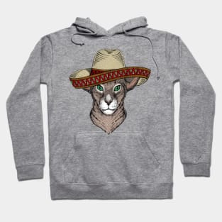 Sombrero For The Wild Hoodie